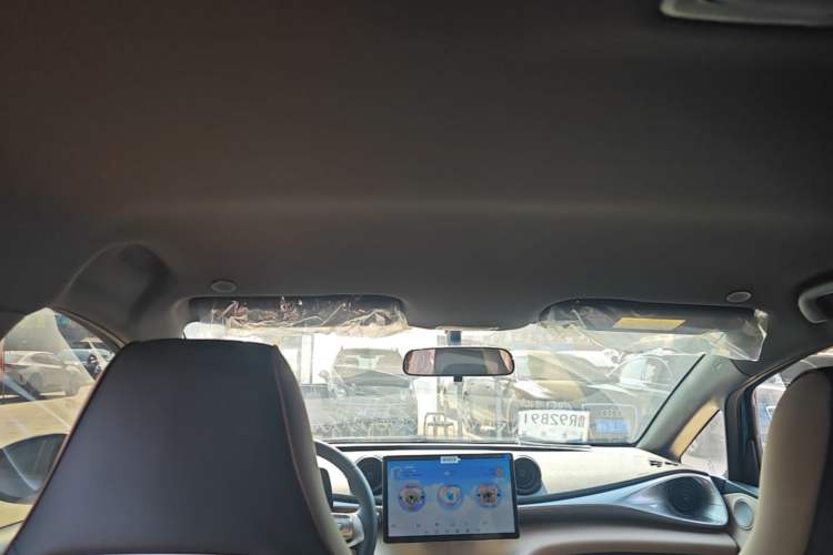 Used BYD Dolphin 2025 420km Free Edition Headliner