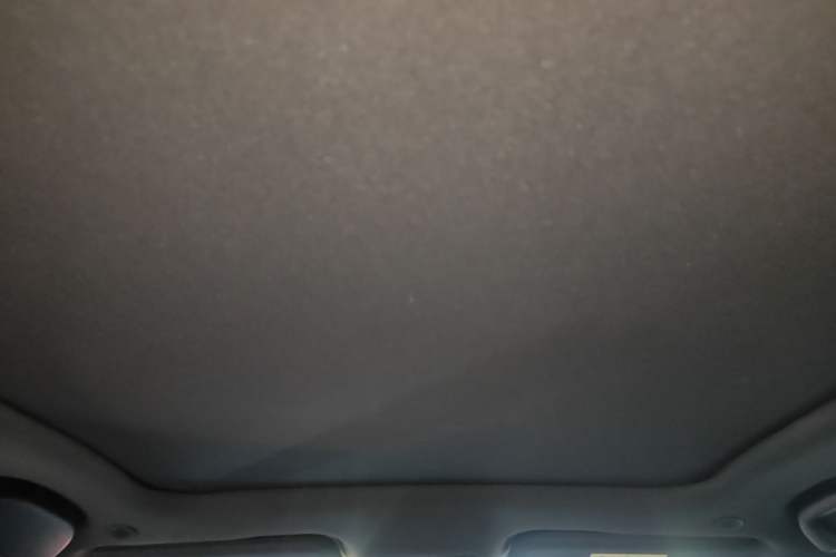 Used BYD Dolphin 2025 Intelligent Driving Version 410 km Fashion Edition Headliner