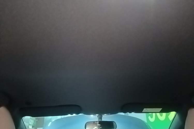 Used BYD Dolphin 2025 420km Free Edition Headliner