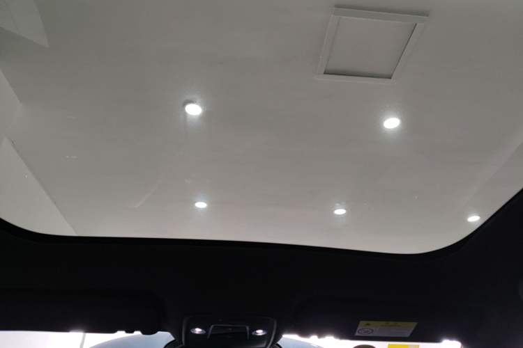 Used BYD Dolphin 2025 Intelligent Driving Version 410 km Fashion Edition Headliner