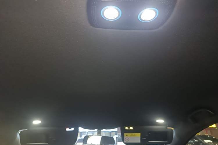 Used BYD Dolphin 2025 420km Active Version Headliner