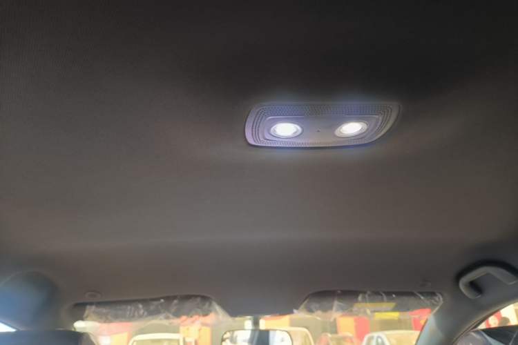 Used BYD Dolphin 2025 420km Free Edition Headliner