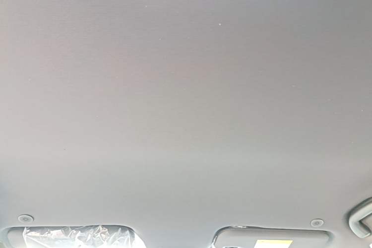 Used BYD Dolphin 2025 420km Free Edition Headliner