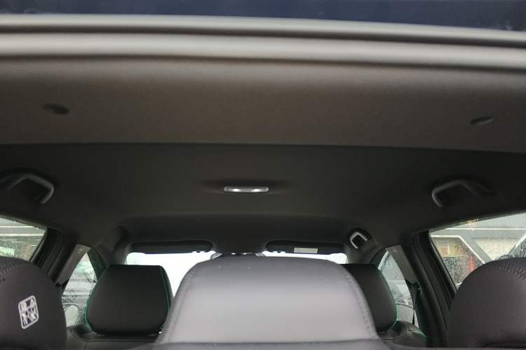 Used BYD Dolphin 2025 Smart Drive Version 420 km Freedom Edition Headliner