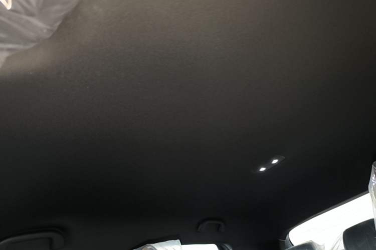 Used BYD Dolphin 2025 420km Free Edition Headliner