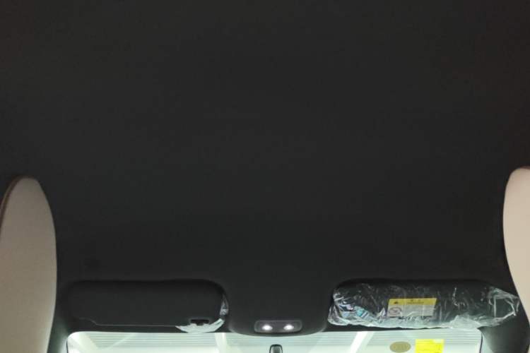 Used BYD Dolphin 2025 420km Free Edition Headliner