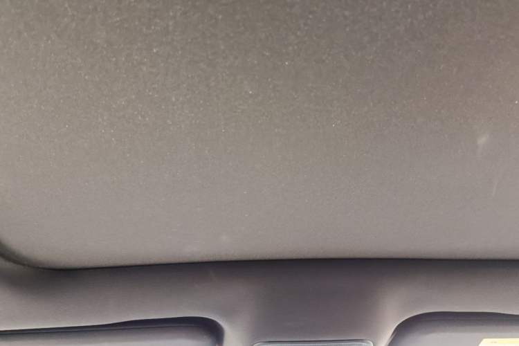 Used BYD Dolphin 2025 Intelligent Driving Version 520km Range Knight Edition Headliner