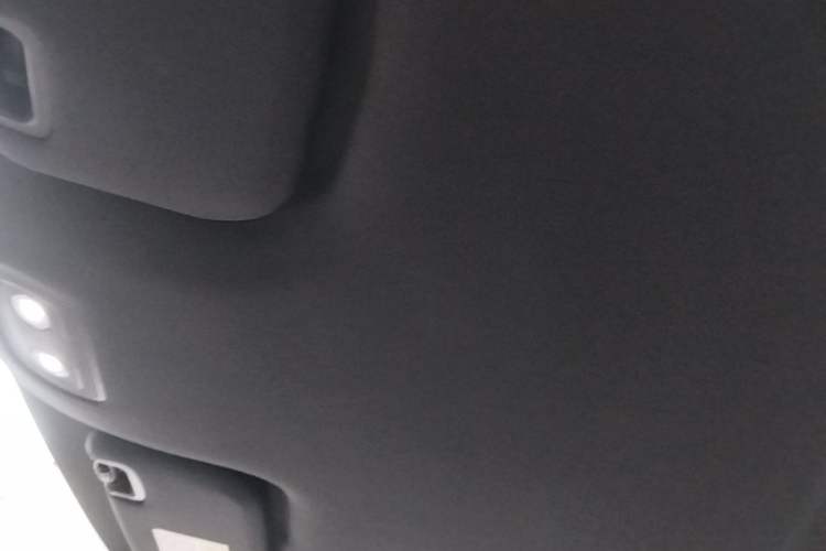 Used BYD Dolphin 2025 420km Free Edition Headliner