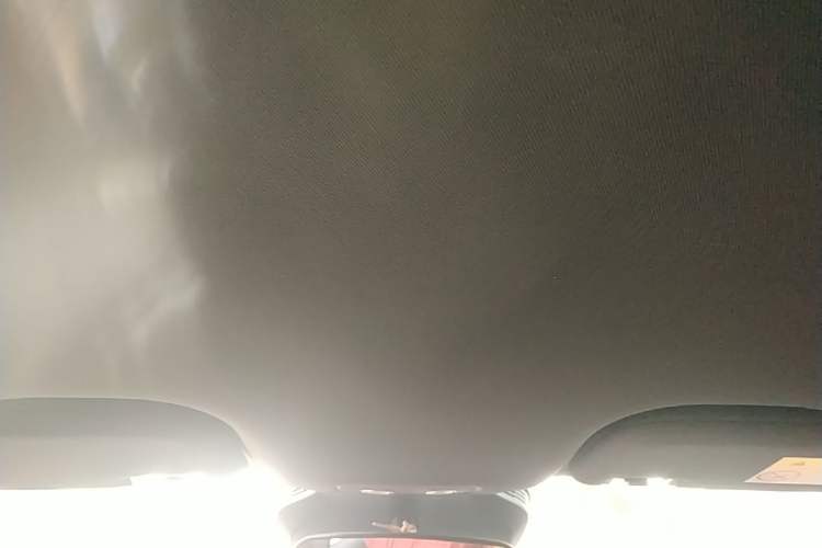 Used BYD Dolphin 2025 Smart Drive Version 420 km Freedom Edition Headliner