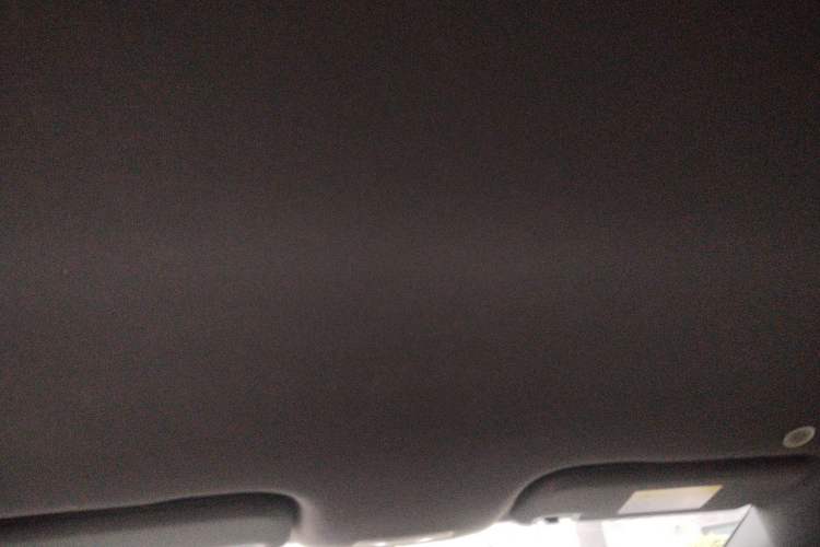Used BYD Dolphin 2025 420km Free Edition Headliner
