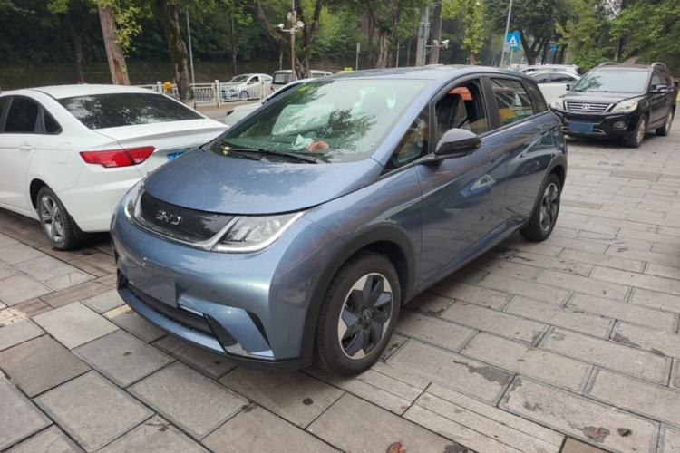 BYD Dolphin 2025 420km Free Edition