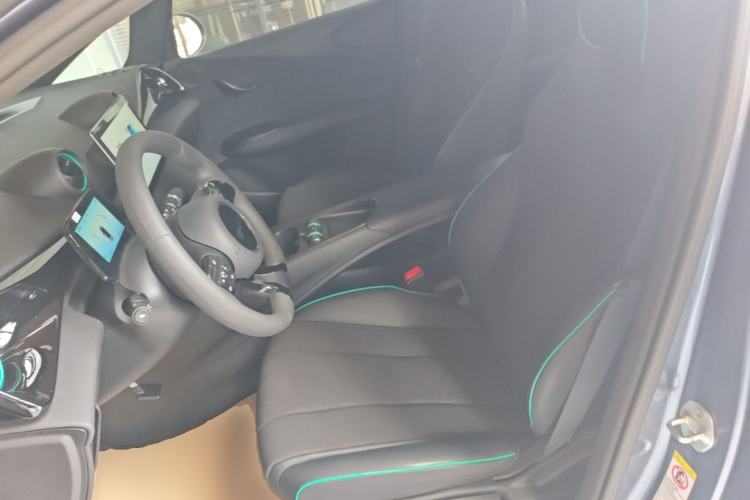 Used BYD Dolphin 2025 420km Active Version Left Front Seat