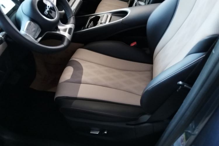 Used BYD Dolphin 2025 420km Free Edition Left Front Seat