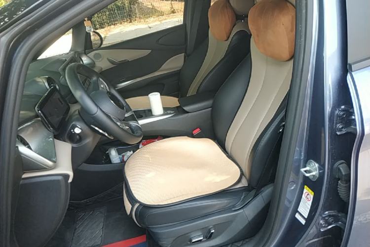 Used BYD Dolphin 2025 Smart Drive Version 420 km Freedom Edition Left Front Seat