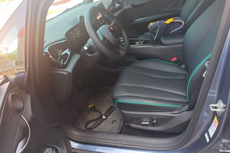 Used BYD Dolphin 2025 Smart Drive Version 420 km Freedom Edition Left Front Seat