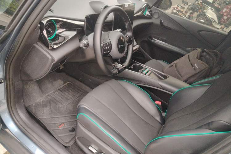 Used BYD Dolphin 2025 420km Free Edition Left Front Seat