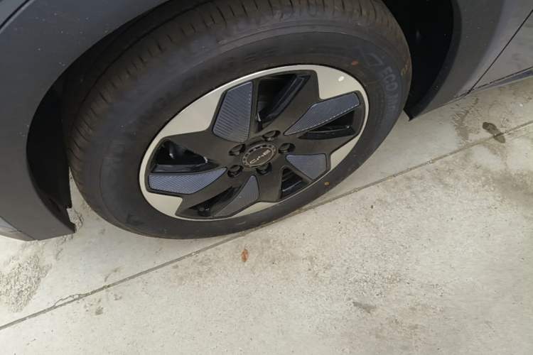 Used BYD Dolphin 2025 420km Free Edition Left Front Wheel Hub