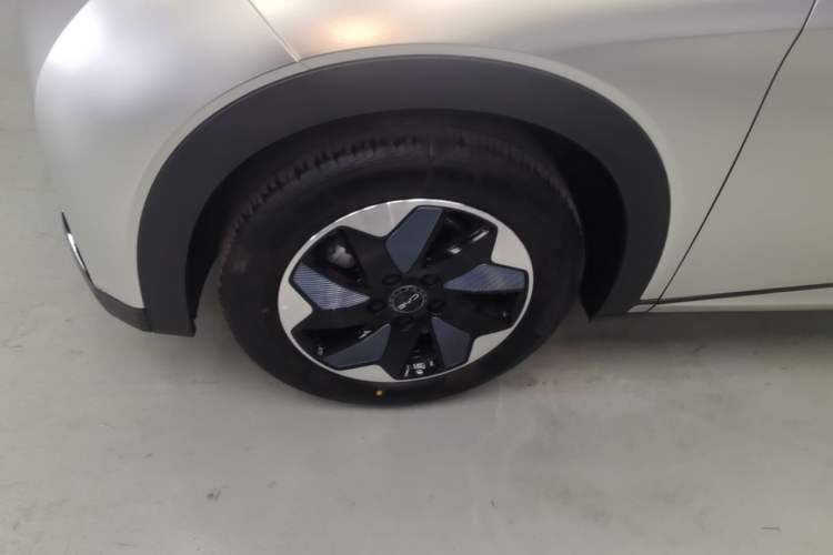 Used BYD Dolphin 2025 420km Free Edition Left Front Wheel Hub