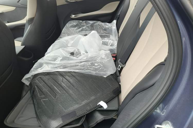 Used BYD Dolphin 2025 420km Free Edition Left Rear Seat
