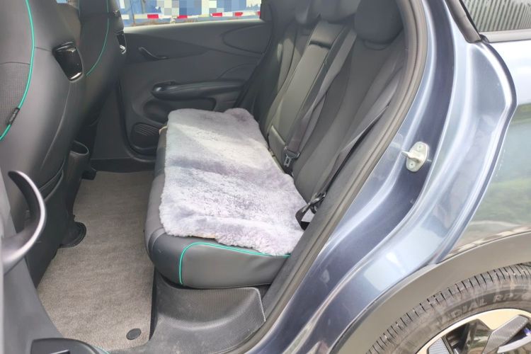 Used BYD Dolphin 2025 420km Fashion Edition Left Rear Seat