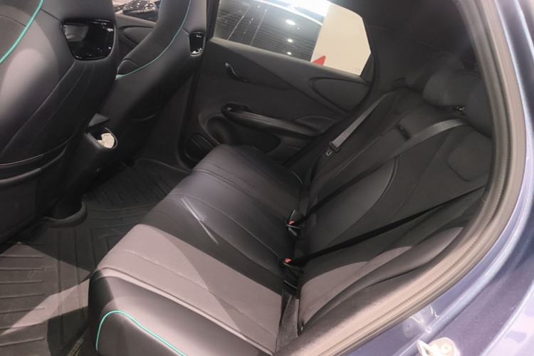 Used BYD Dolphin 2025 520km Range Knight Edition Left Rear Seat