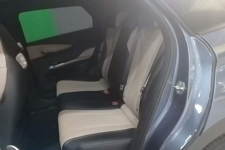 Used BYD Dolphin 2025 420km Free Edition Left Rear Seat