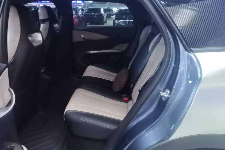 Used BYD Dolphin 2025 420km Free Edition Left Rear Seat