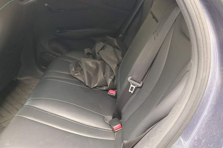 Used BYD Dolphin 2025 Intelligent Driving Version 520km Range Knight Edition Left Rear Seat