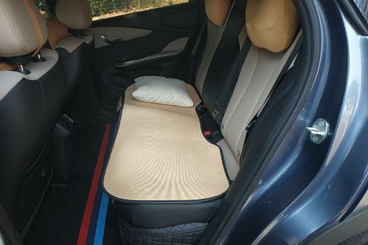 Used BYD Dolphin 2025 Smart Drive Version 420 km Freedom Edition Left Rear Seat