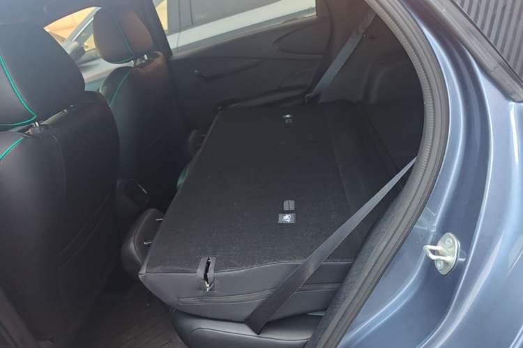 Used BYD Dolphin 2025 Smart Drive Version 420 km Freedom Edition Left Rear Seat