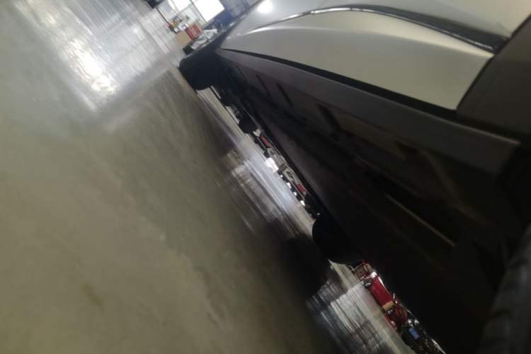 Used BYD Dolphin 2025 420km Free Edition Left Side Sill