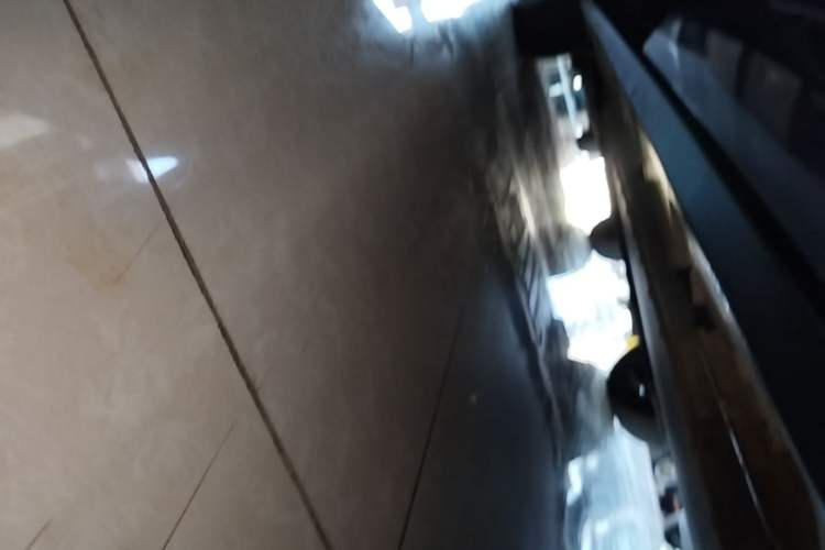 Used BYD Dolphin 2025 420km Free Edition Left Side Sill