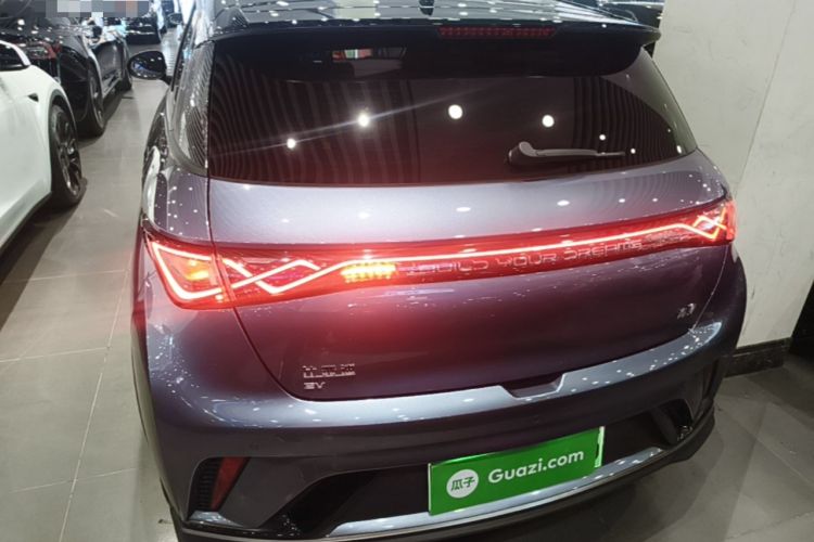 Used BYD Dolphin 2025 520km Range Knight Edition Rear