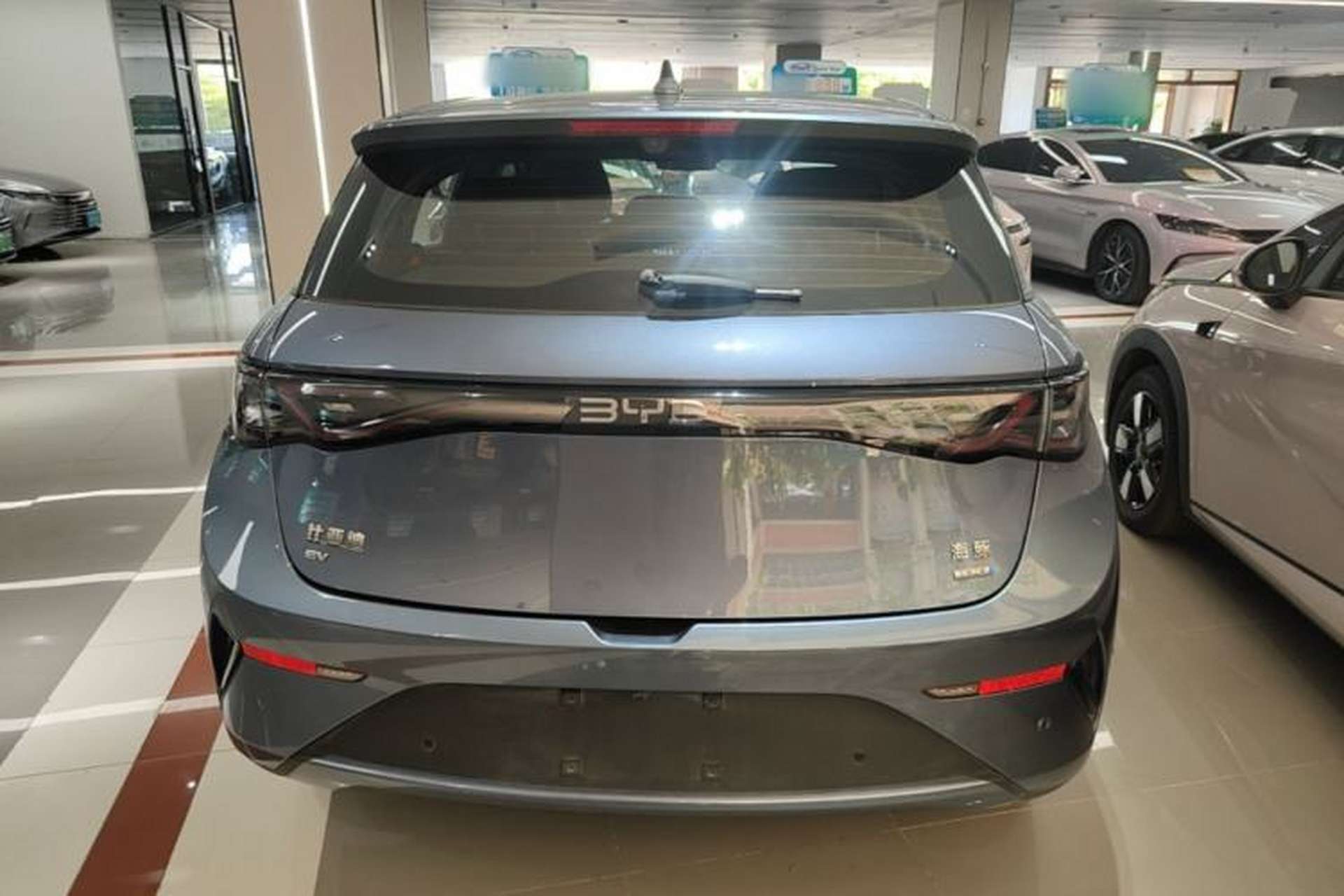 Used BYD Dolphin 2025 Intelligent Driving Version 410 km Fashion Edition Rear