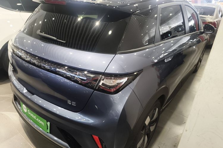 Used BYD Dolphin 2025 520km Range Knight Edition Rear Right 45 Deg