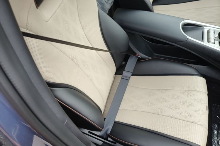 Used BYD Dolphin 2025 420km Free Edition Right Front Seat