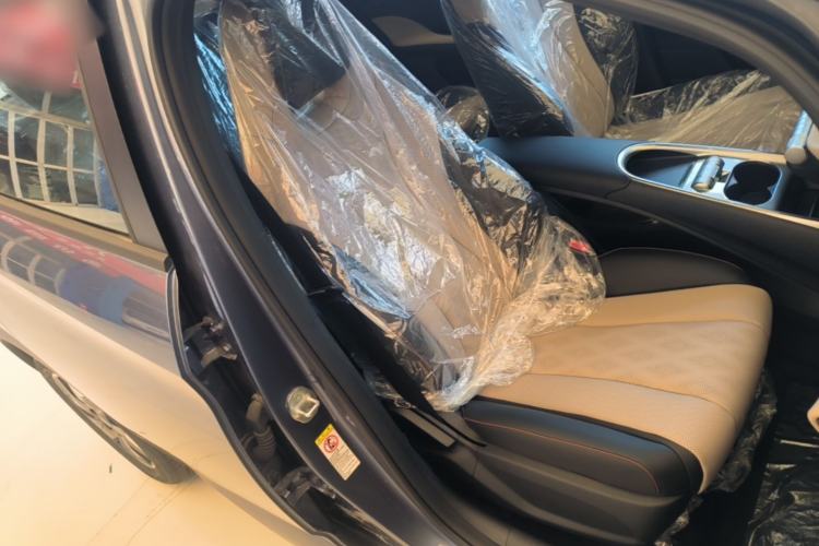 Used BYD Dolphin 2025 420km Free Edition Right Front Seat