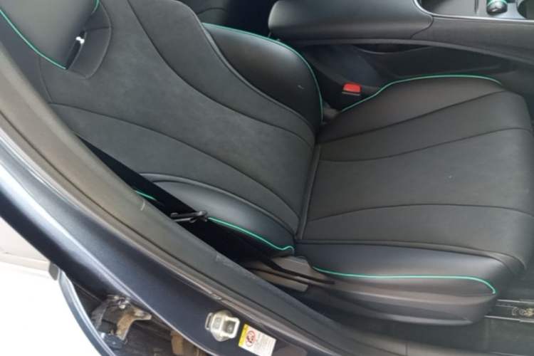 Used BYD Dolphin 2025 420km Active Version Right Front Seat