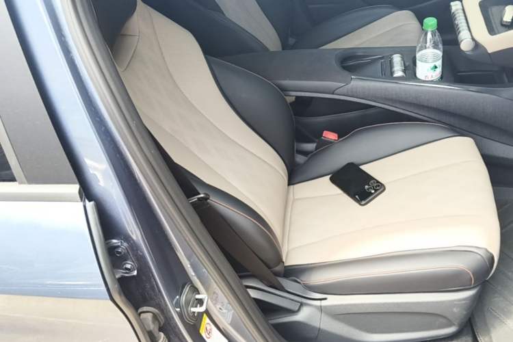 Used BYD Dolphin 2025 420km Free Edition Right Front Seat