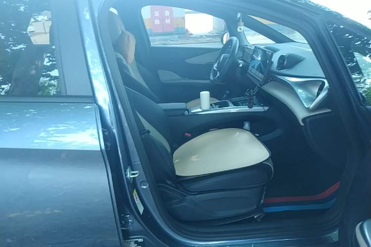 Used BYD Dolphin 2025 Smart Drive Version 420 km Freedom Edition Right Front Seat