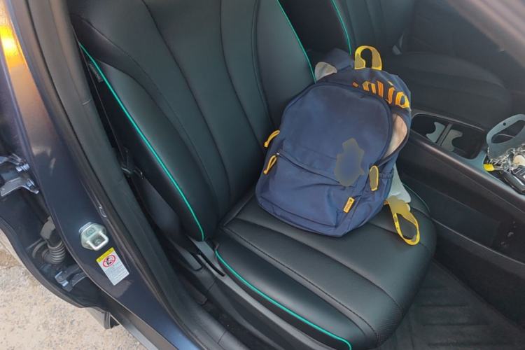 Used BYD Dolphin 2025 Smart Drive Version 420 km Freedom Edition Right Front Seat