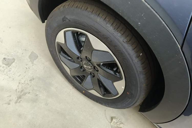 Used BYD Dolphin 2025 420km Free Edition Right Rear Wheel Hub