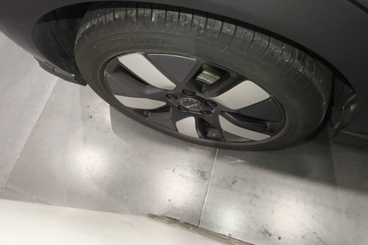 Used BYD Dolphin 2025 520km Range Knight Edition Right Rear Wheel Hub