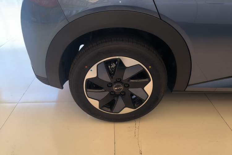 Used BYD Dolphin 2025 420km Free Edition Right Rear Wheel Hub