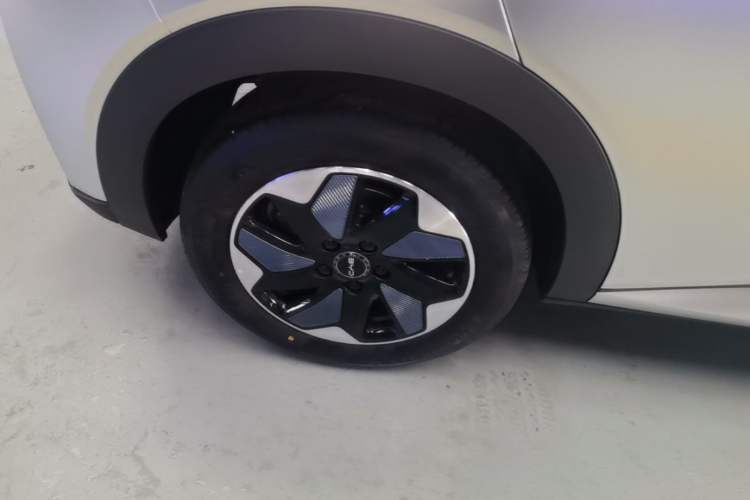 Used BYD Dolphin 2025 420km Free Edition Right Rear Wheel Hub