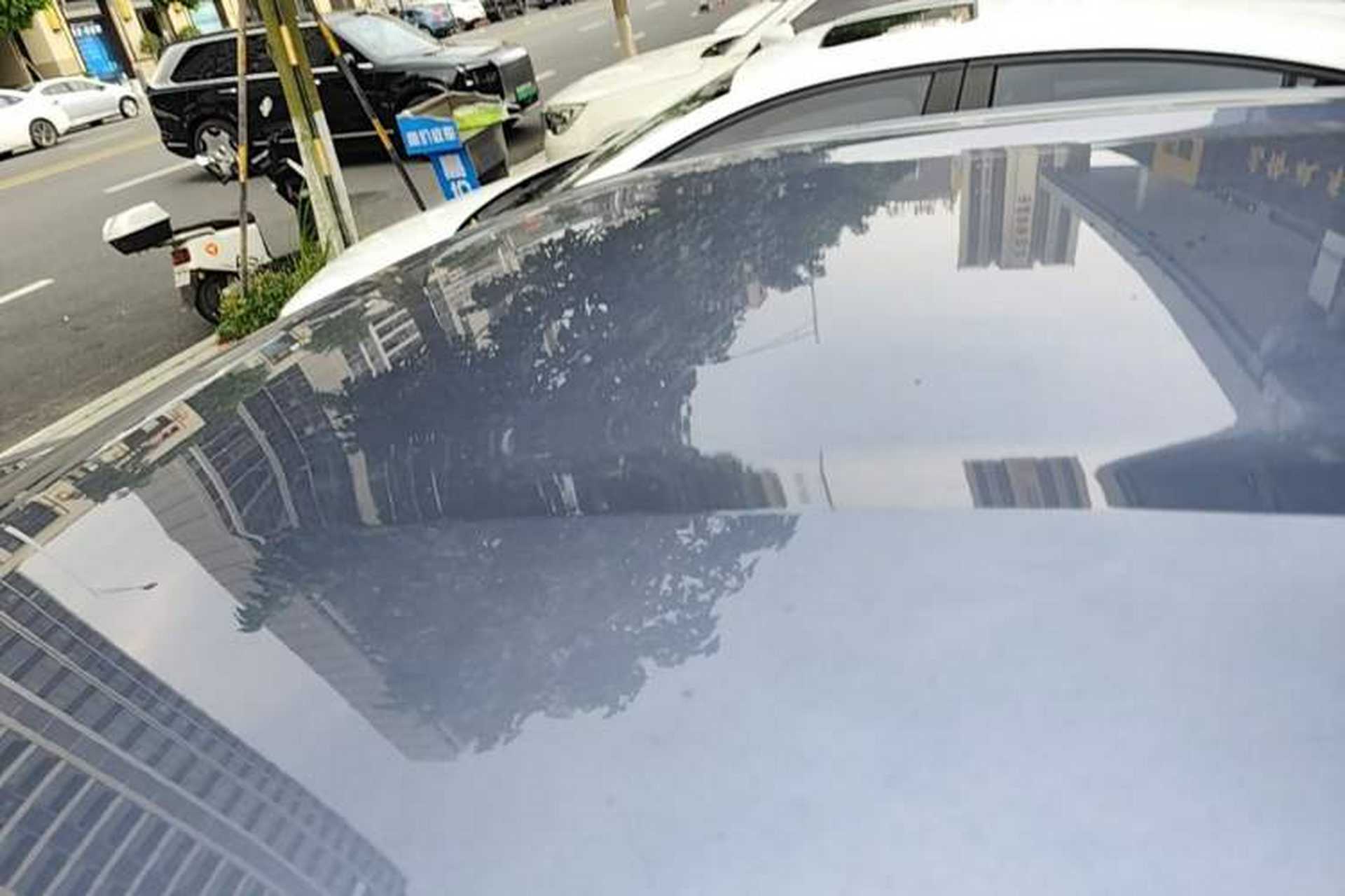 Used BYD Dolphin 2025 Smart Drive Version 420 km Freedom Edition Roof
