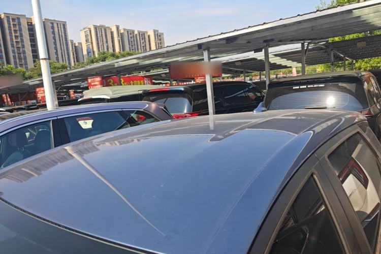 Used BYD Dolphin 2025 420km Free Edition Roof