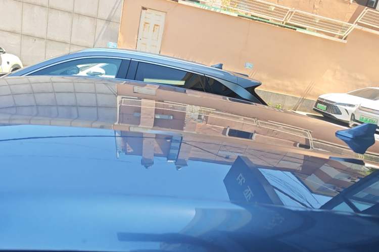 Used BYD Dolphin 2025 Smart Drive Version 420 km Freedom Edition Roof