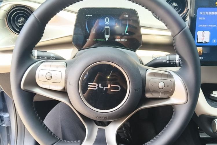 Used BYD Dolphin 2025 420km Free Edition Steering Wheel