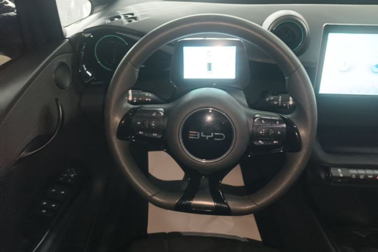 Used BYD Dolphin 2025 420km Active Version Steering Wheel